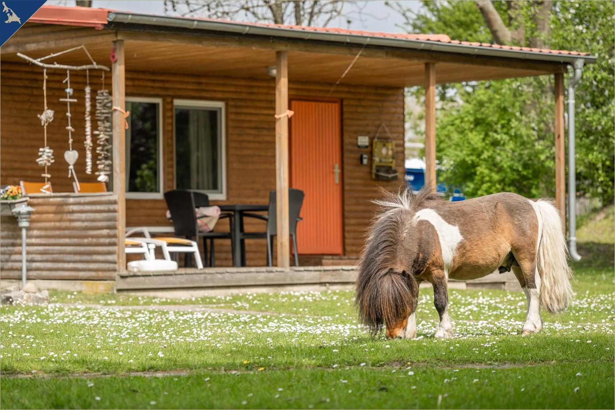 Ferienresort Moewenort Luetow Bungalow 1 Lutow 外观 照片